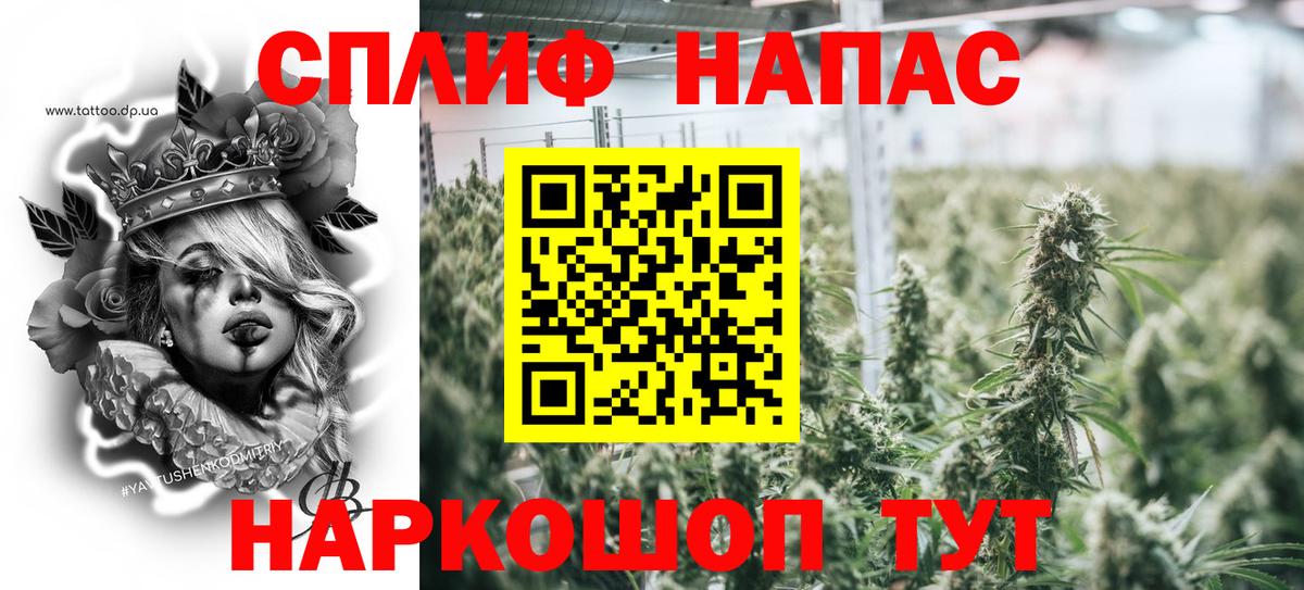 Санкт-Петербург  Каннабис семена  Канабис семена  Вход с VPN 